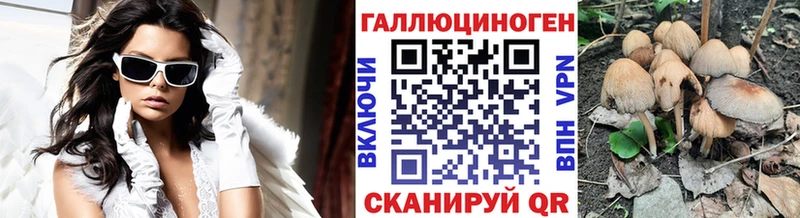 что такое Новоржев Псилоцибиновые грибы Magic Shrooms
