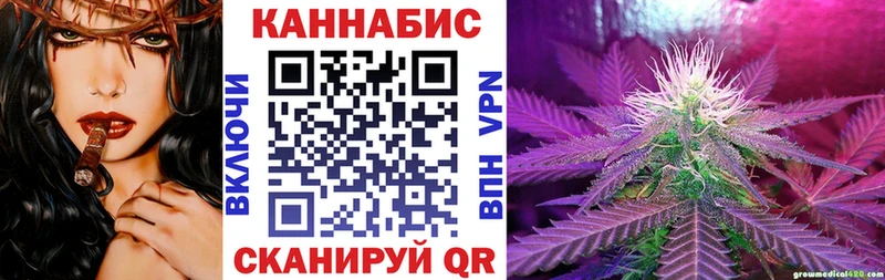 Бошки Шишки семена  сайты даркнета формула  Новоржев 